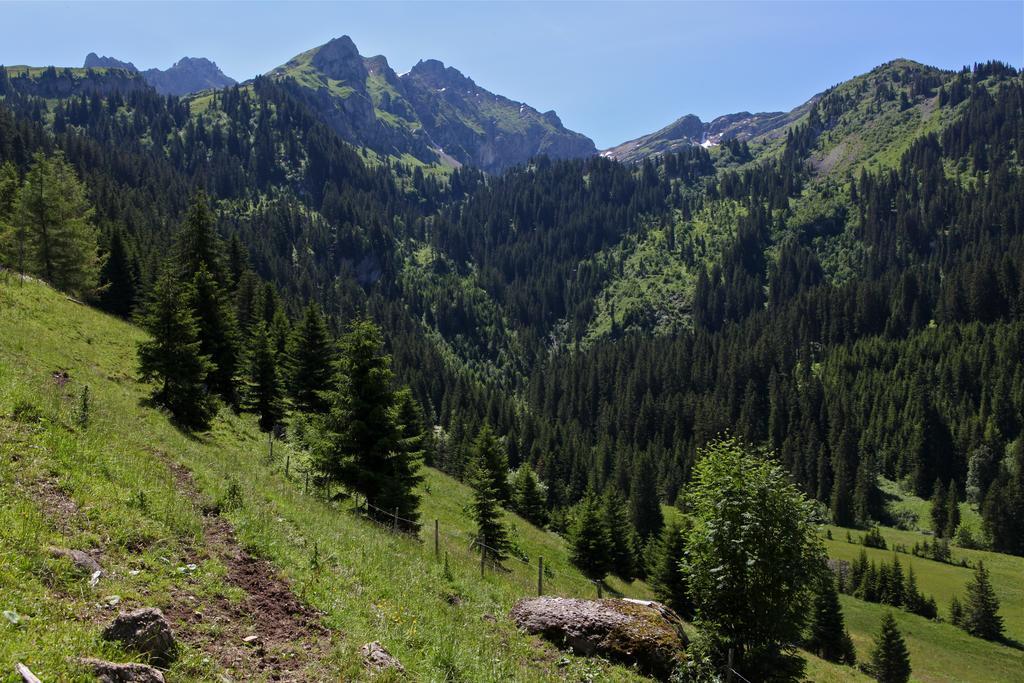 Hotel Le Relais Alpin Les Mosses المظهر الخارجي الصورة