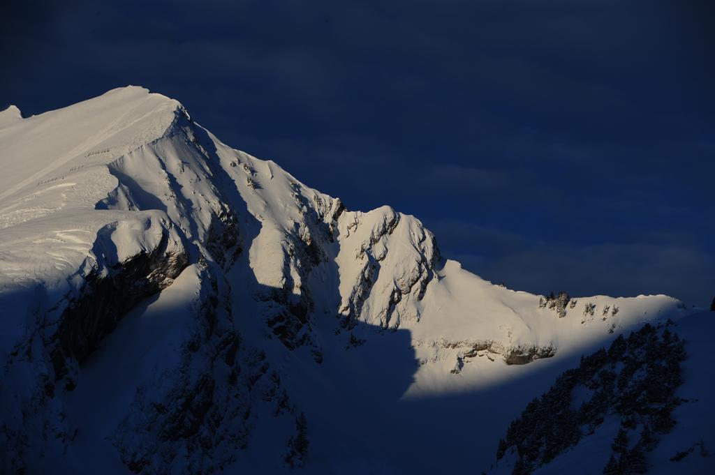 Hotel Le Relais Alpin Les Mosses المظهر الخارجي الصورة