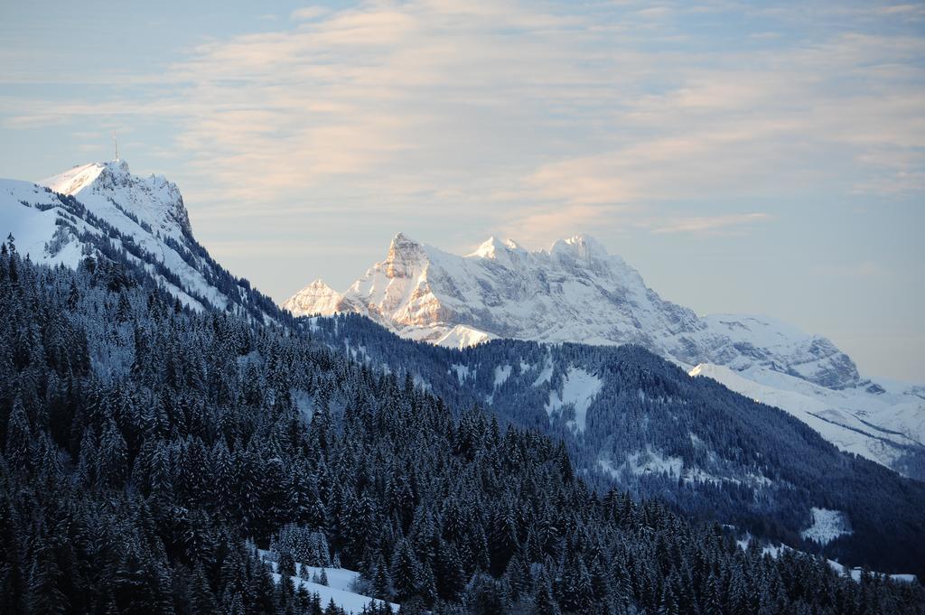 Hotel Le Relais Alpin Les Mosses المظهر الخارجي الصورة
